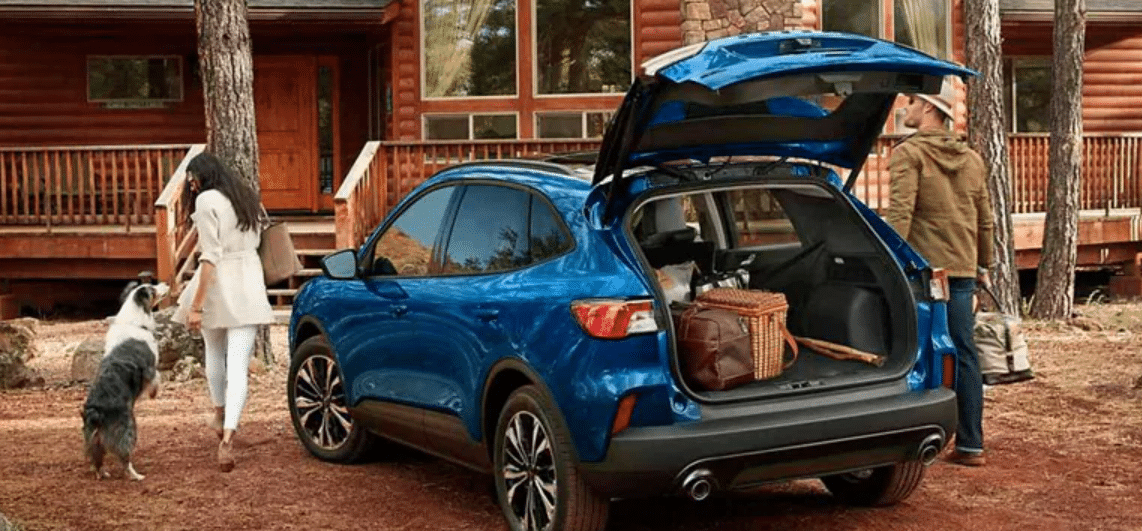 2022 08 26 12 09 29 cq5dam web  768 768 jpeg 768×512